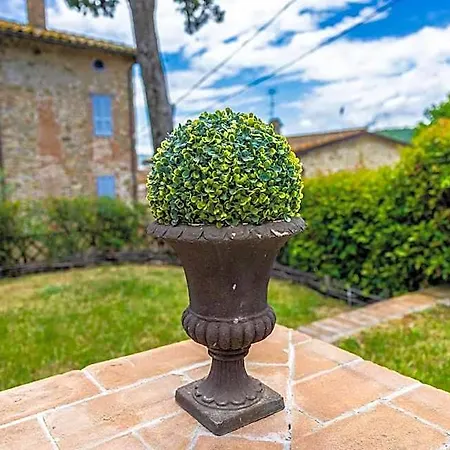 Un Petit Paradis * Castiglione della Valle