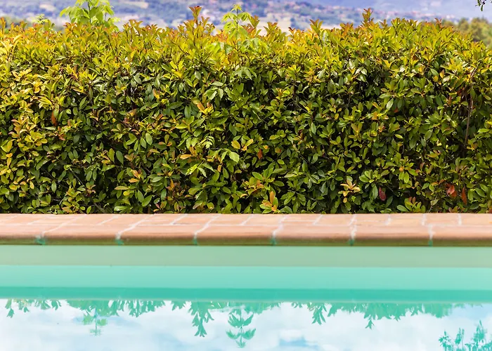 Un Petit Paradis Alojamento de Turismo Rural